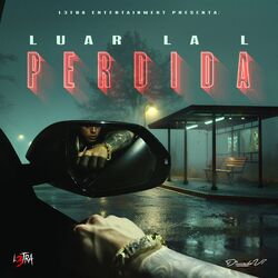 Cover of Perdida