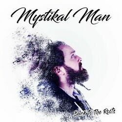 Cover of Back to the Roots