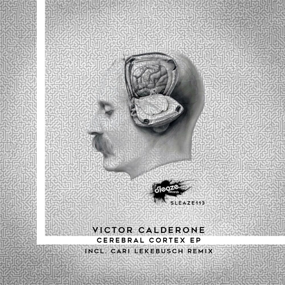 Picture of Cerebral Cortex EP