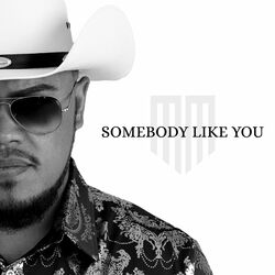 Cover of Somebody Like You