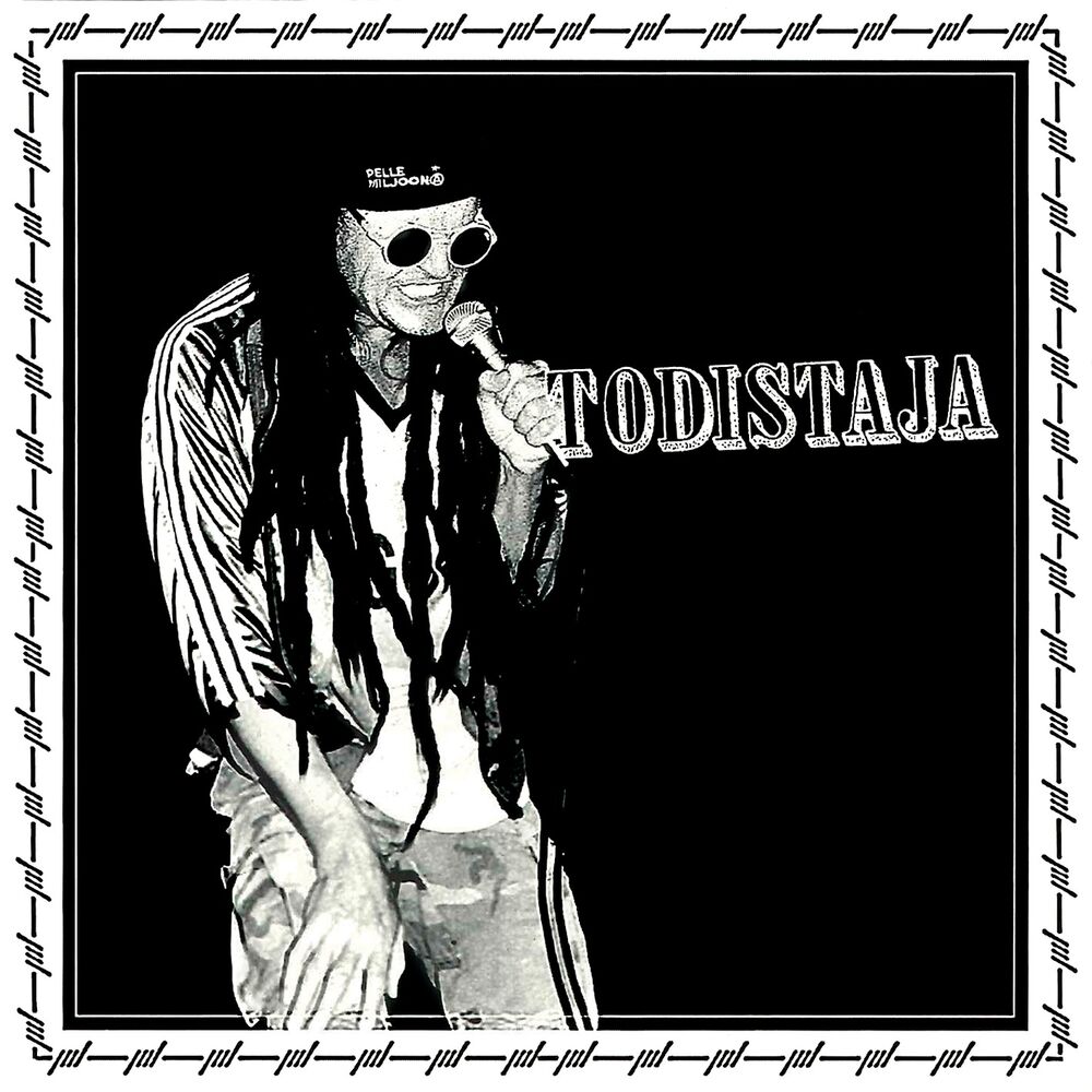 Picture of Todistaja