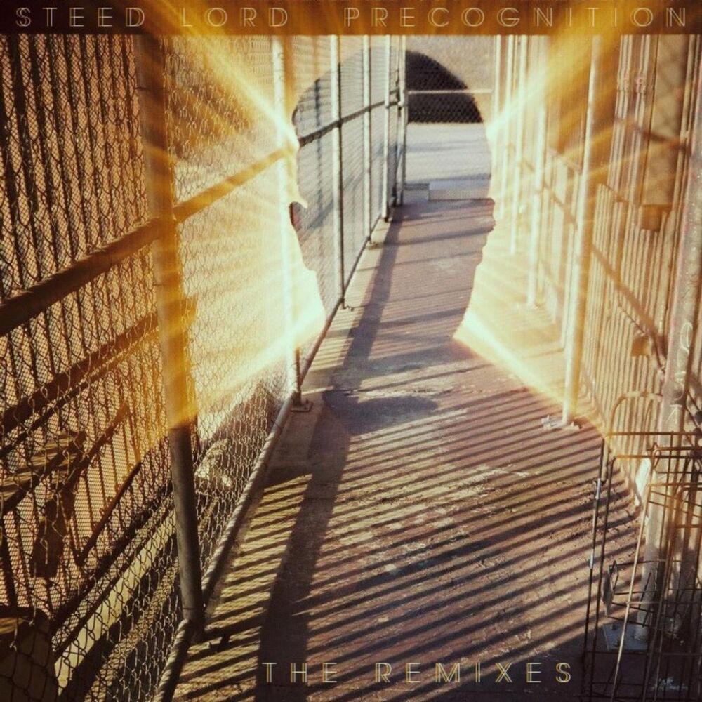 Picture of Precognition - The Remixes