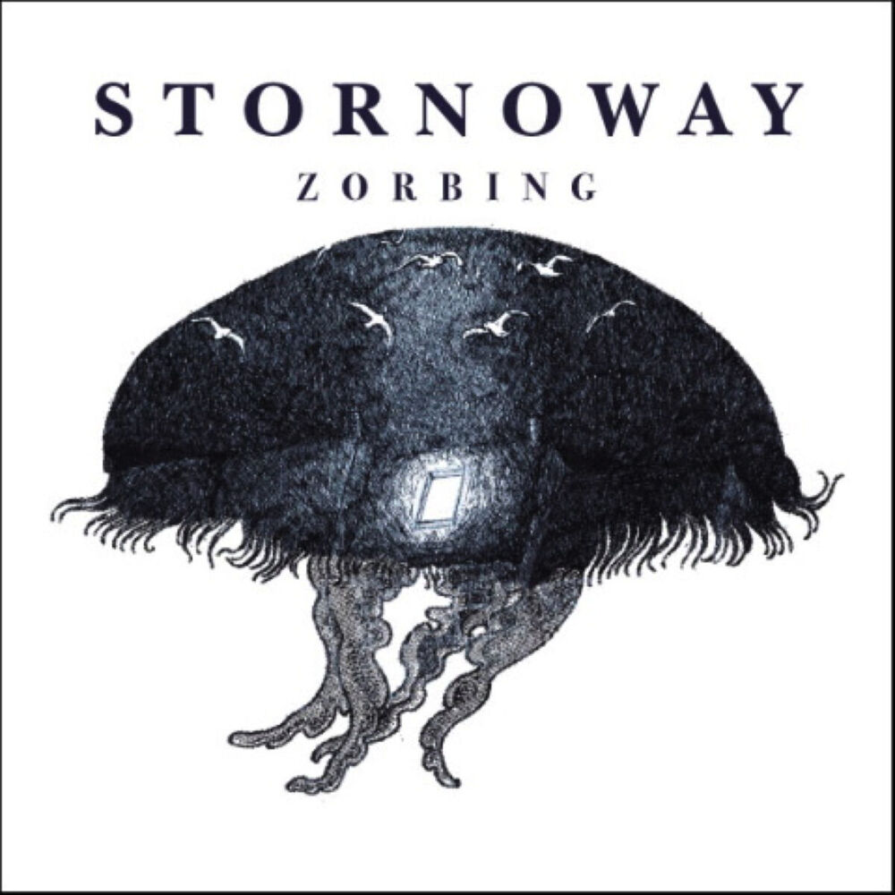 Picture of Zorbing
