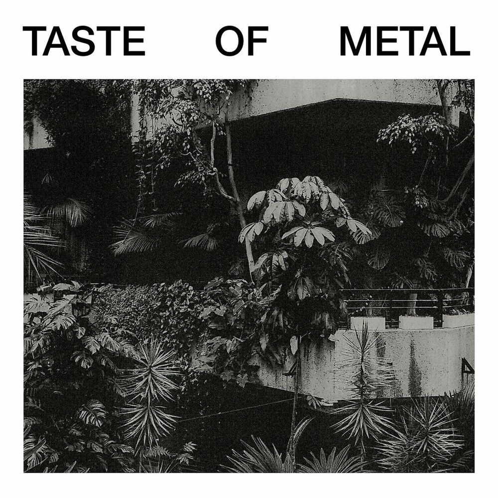 Picture of Taste of Metal (feat. K9)