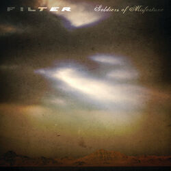 Cover of Soldiers of Misfortune