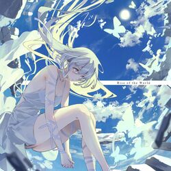 Cover of Rise of the World