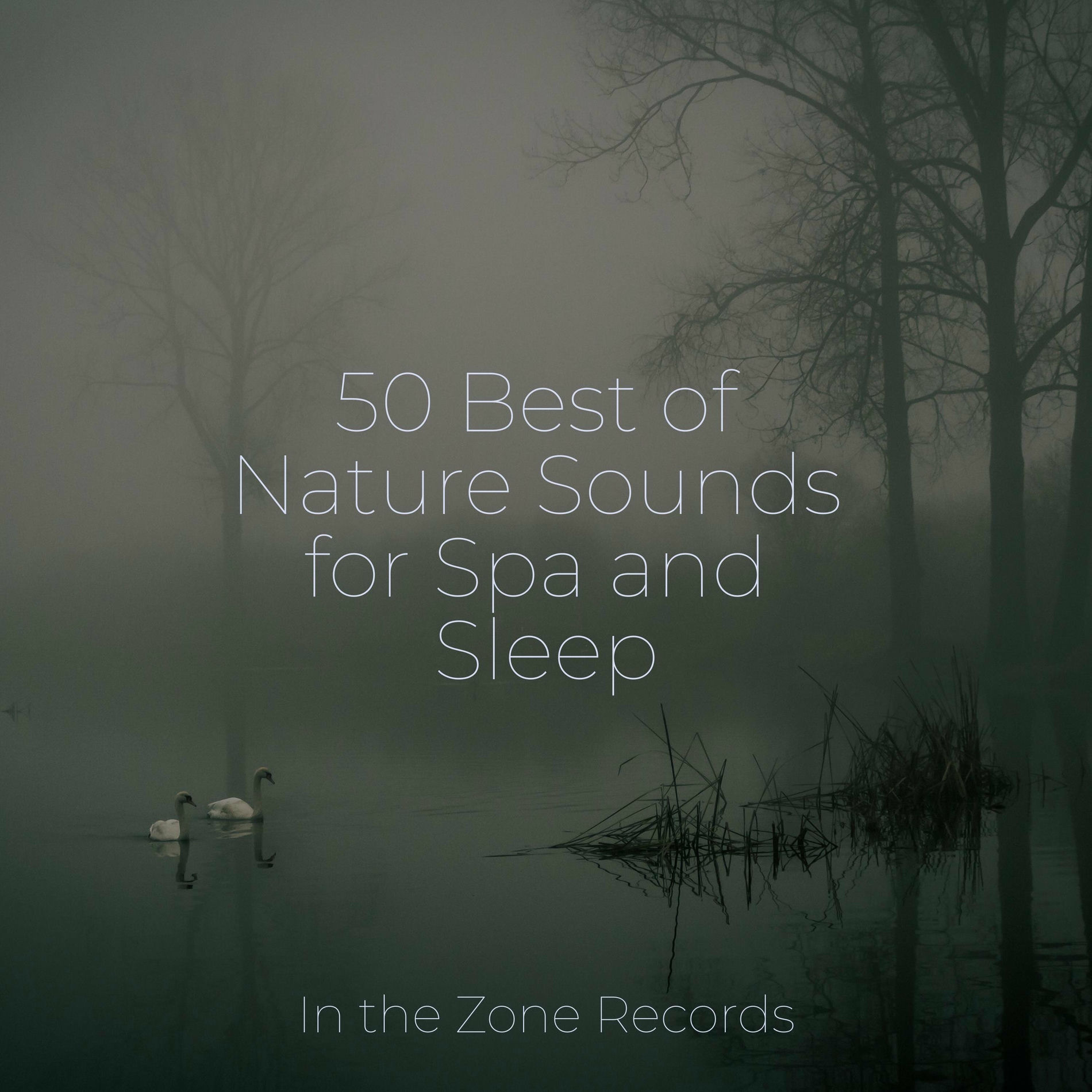 Album cover of 50 Best of Nature Sounds for Spa and Sleep