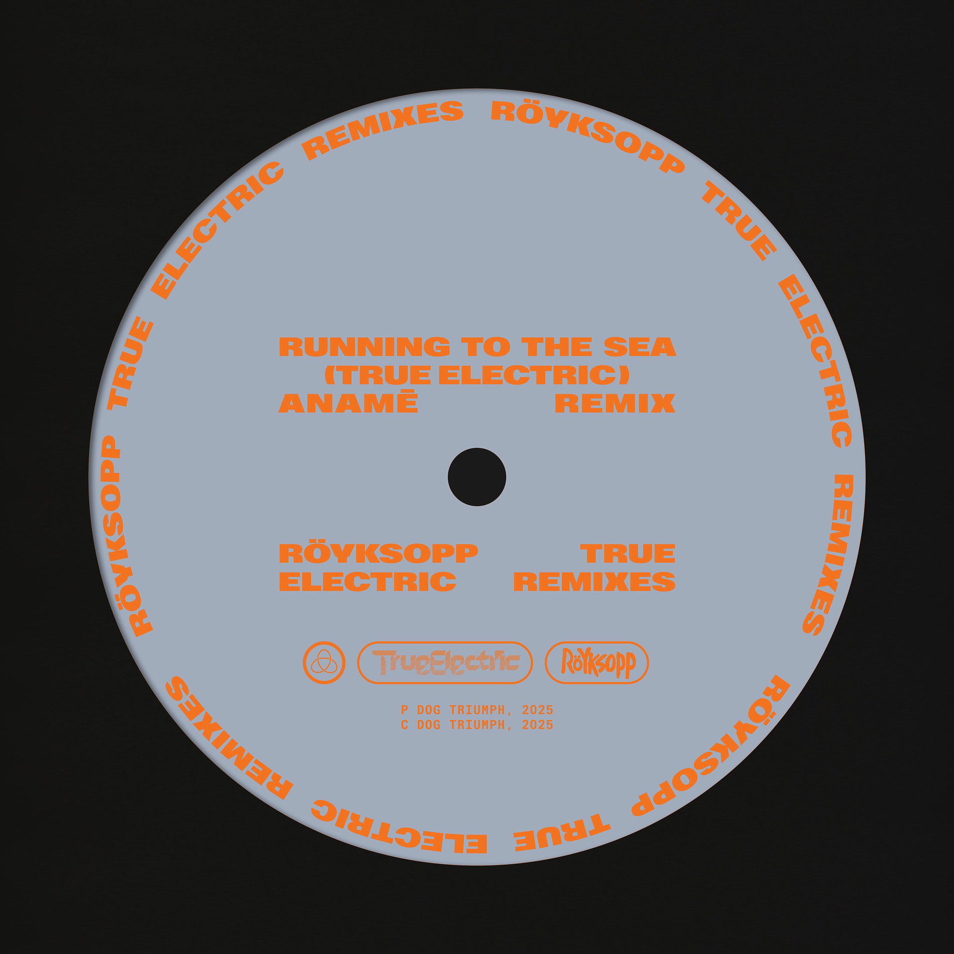 Album cover of Running To The Sea (anamē Remix)