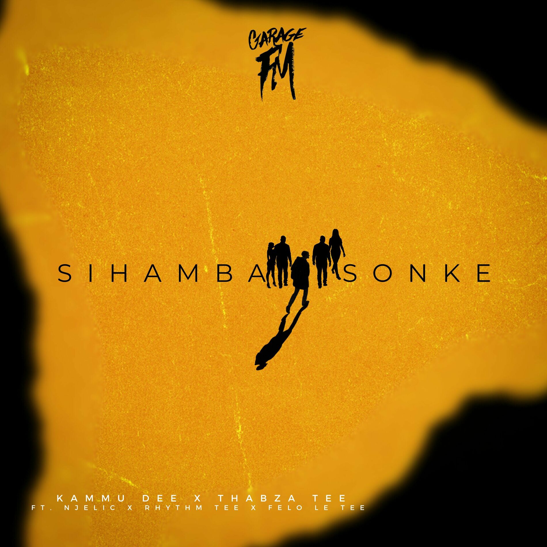 Album cover of Sihamba Sonke