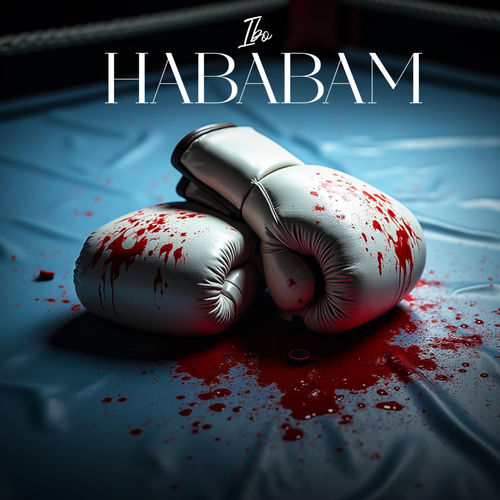 Hababam