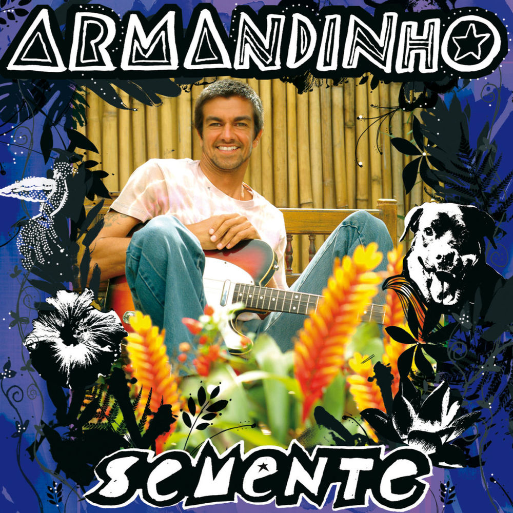 Picture of Semente