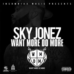 Cover of Want More Do More