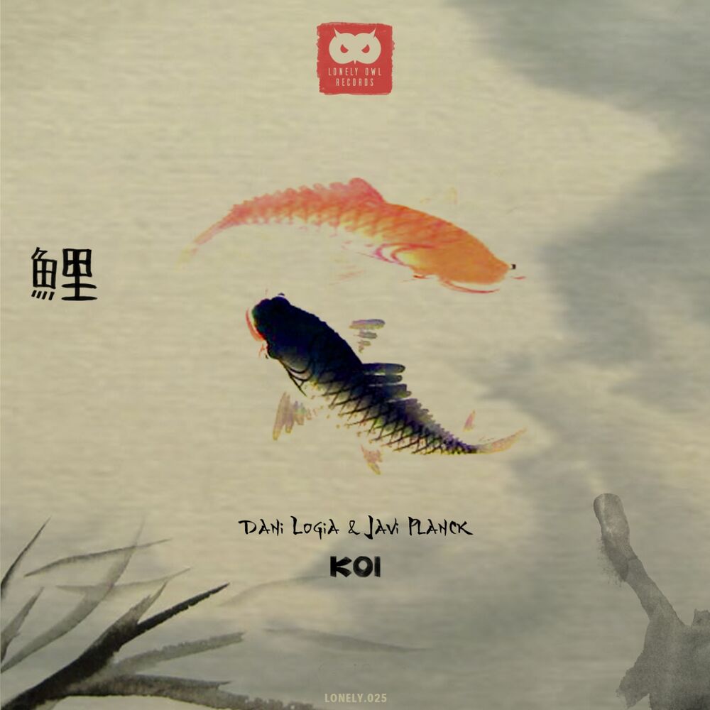 Picture of Koi