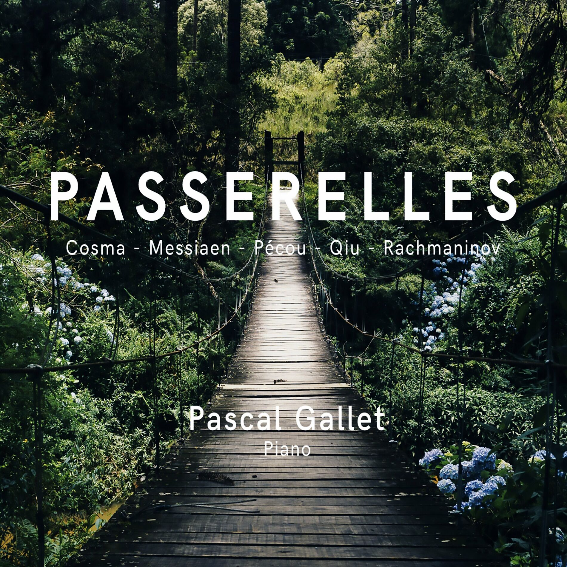 Album cover of Fantaisie concertante pour piano (Du film 
