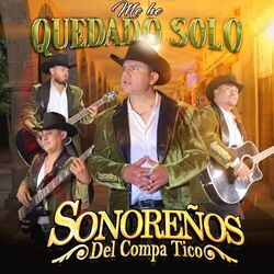 Cover of Me He Quedado Solo
