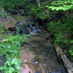 Cover of chanting at a babbling brook