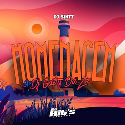 Cover of Homenagem ao Dj Gafty da Zo by undefined