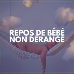 Cover of Repos de bébé non dérangé