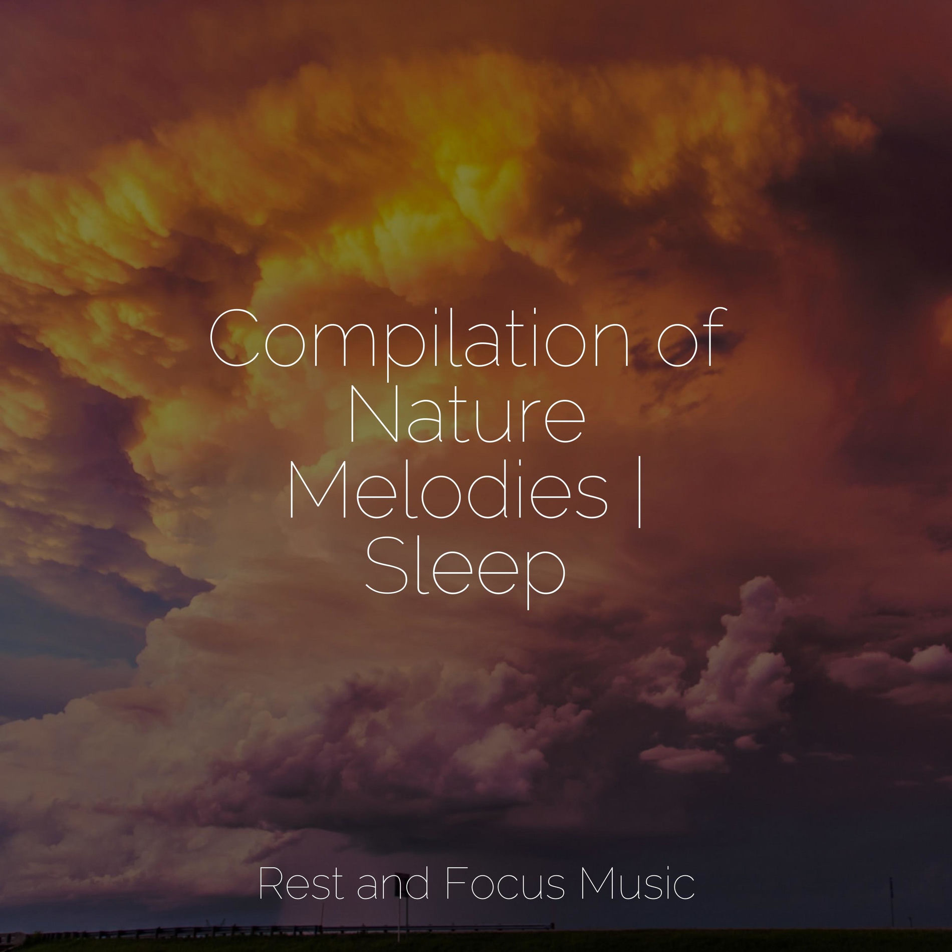 Album cover of Compilation of Nature Melodies | Sleep