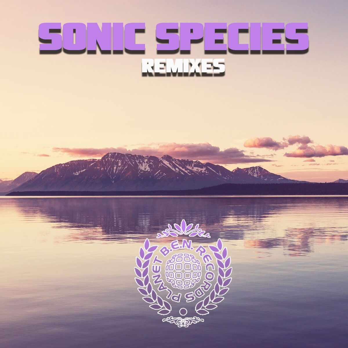 Album cover of Remixes