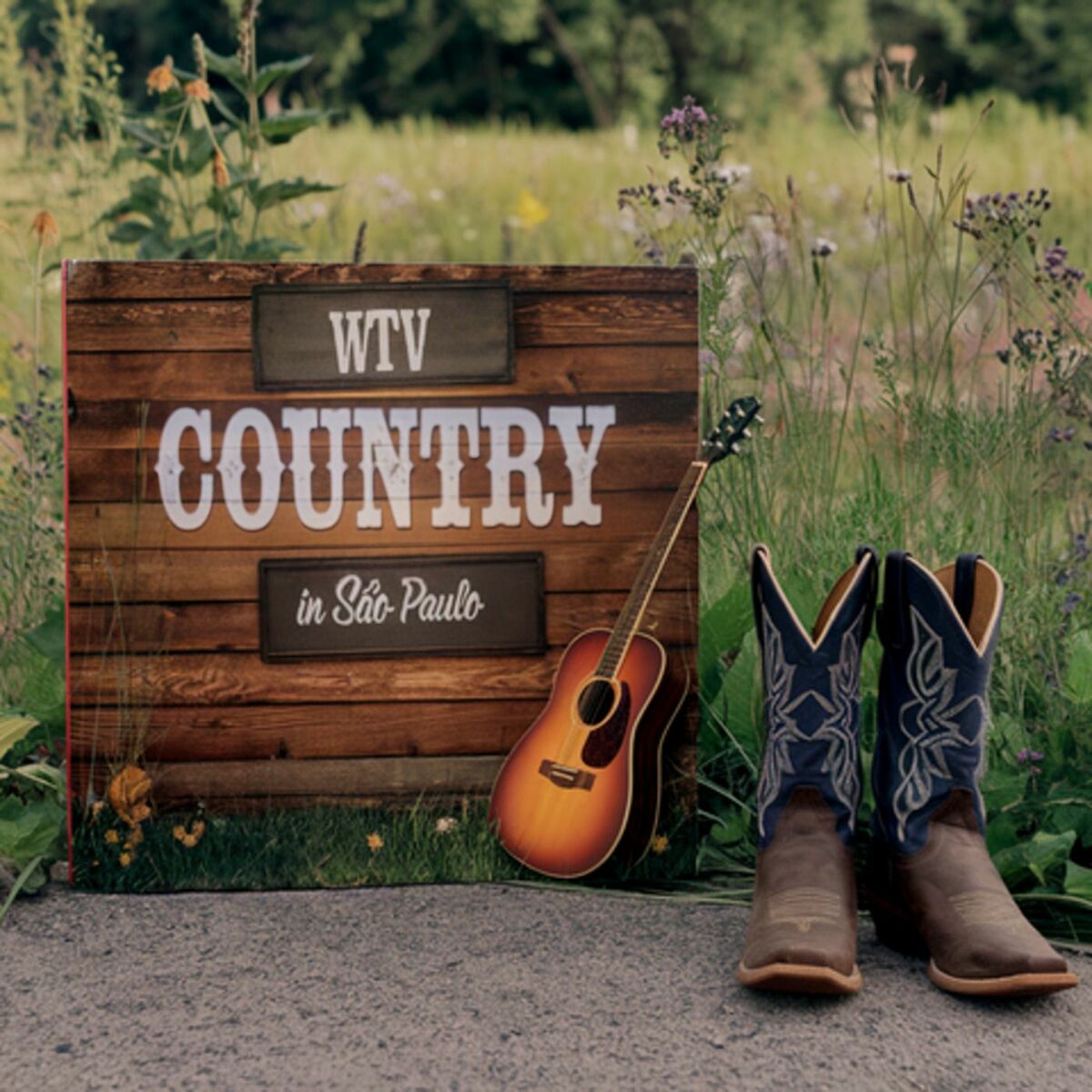 Album cover of WTV Country in São Paulo