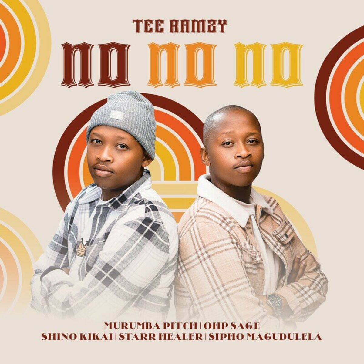 Album cover of No No No