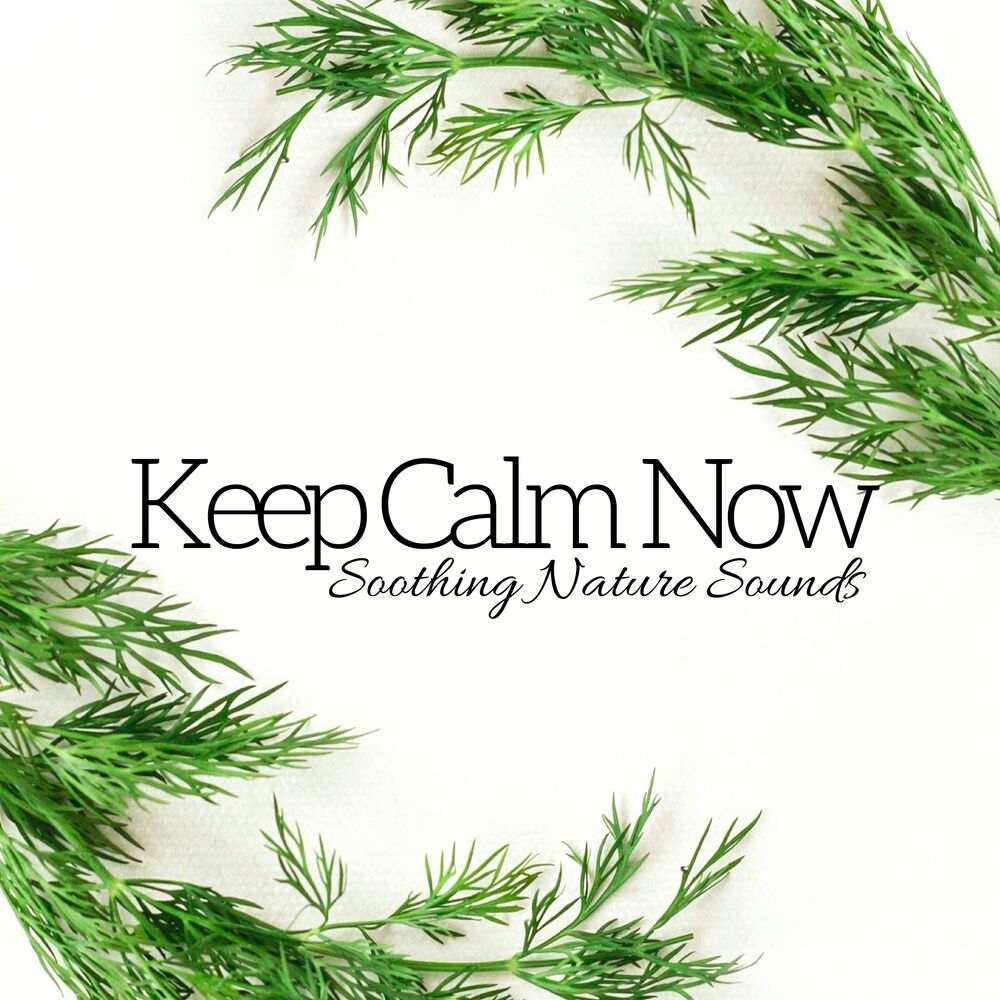 Picture of Keep Calm Now - Soothing Nature Sounds, Pure Yoga Music, Meditation & Relaxation Music, Inner Peace, Wellness Spa,