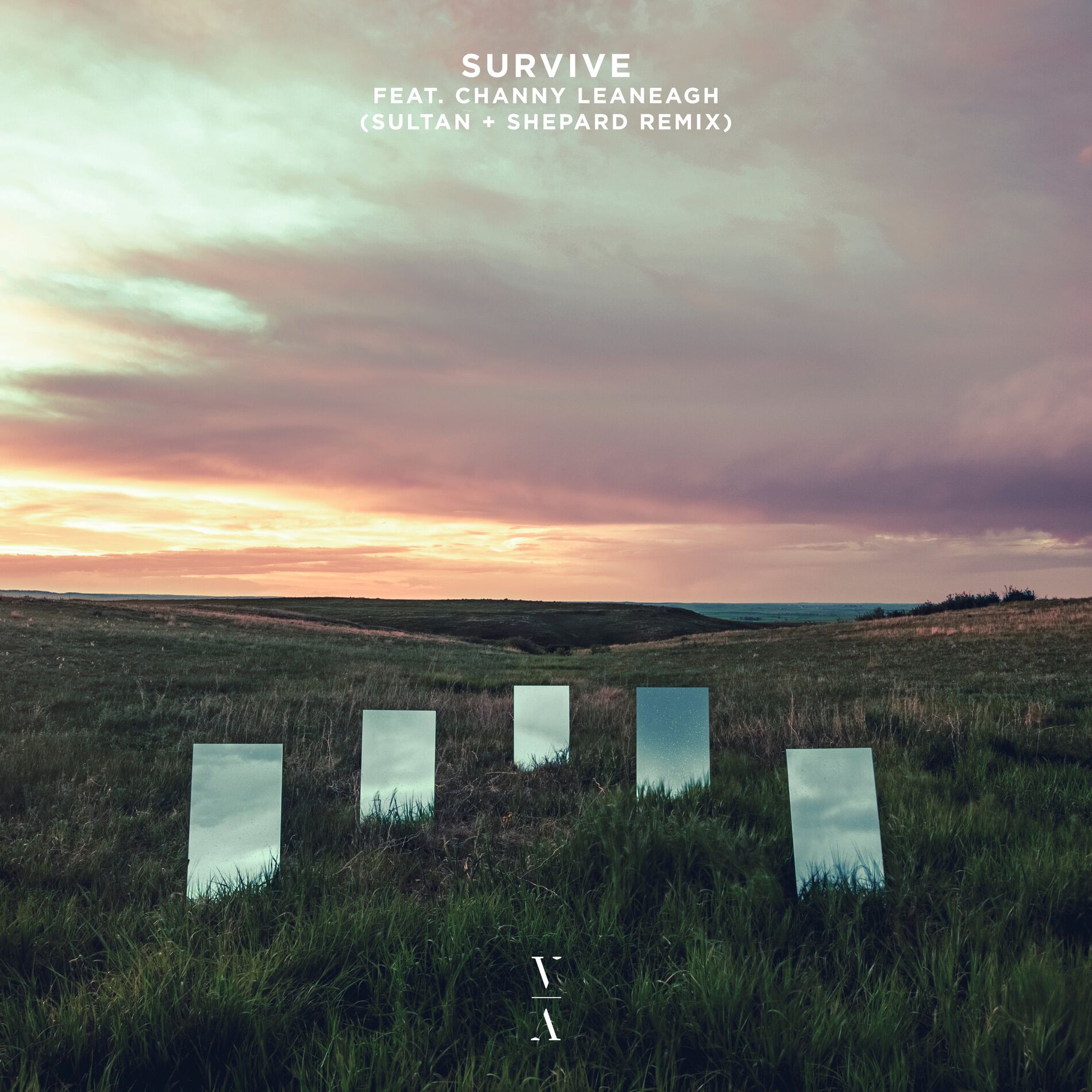 Album cover of Survive (Sultan + Shepard Remix)