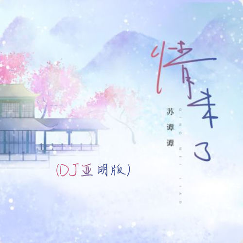 情未了 (DJ 亞明版)