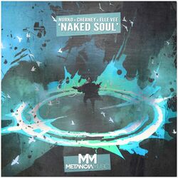 Cover of Naked Soul