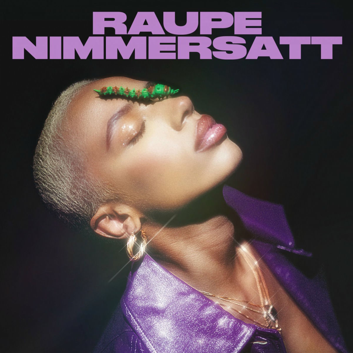 Album cover of Raupe Nimmersatt