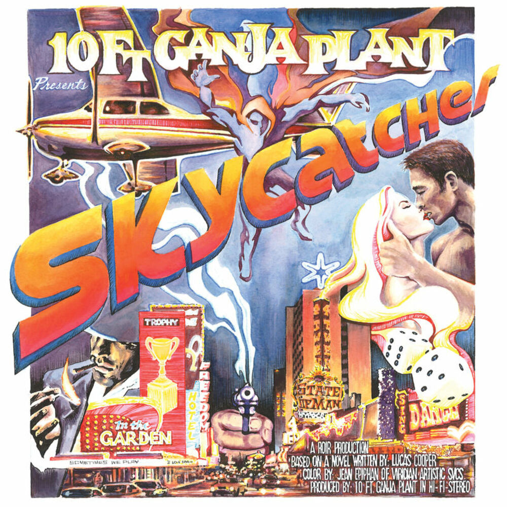 Picture of Skycatcher