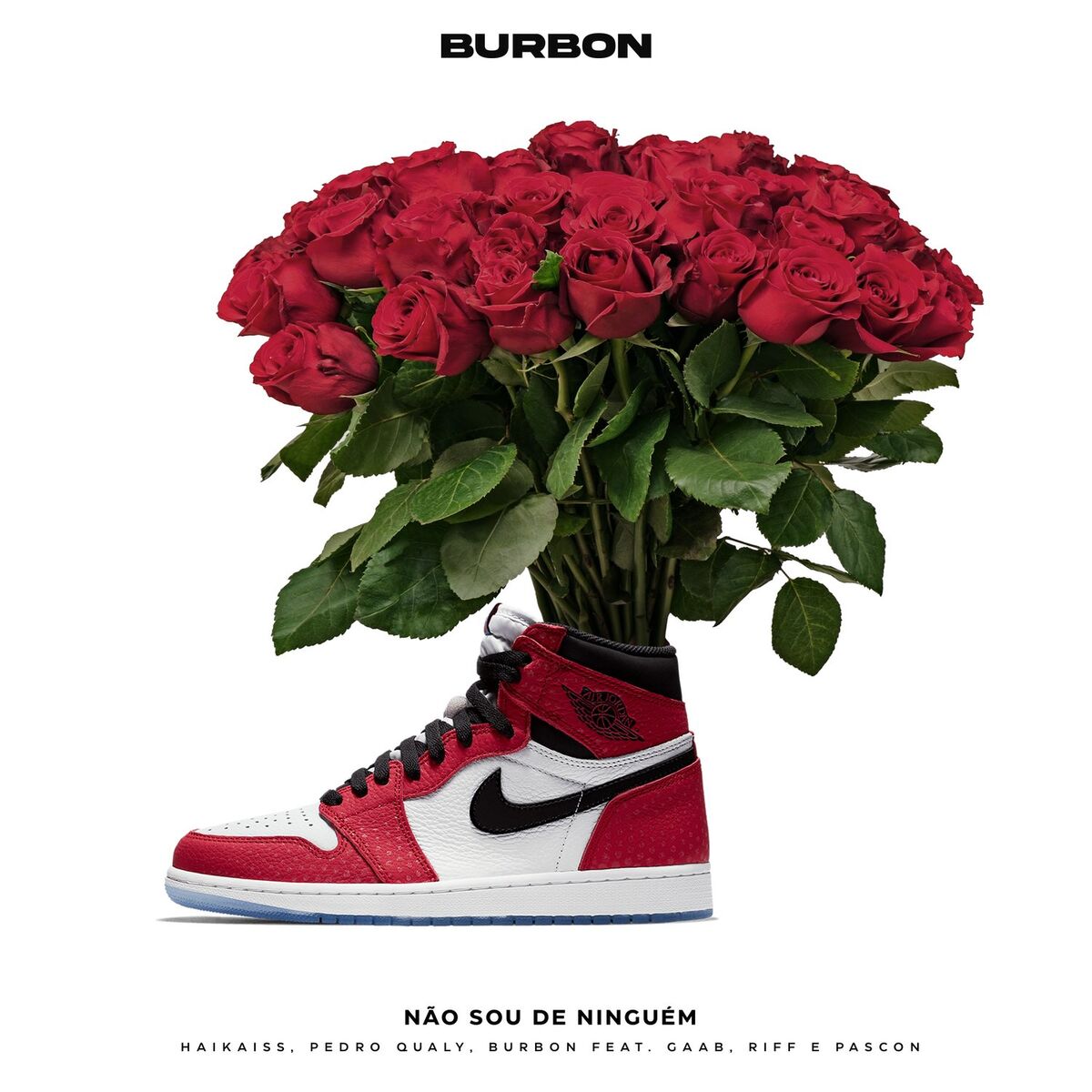 Album cover of Não Sou de Ninguém