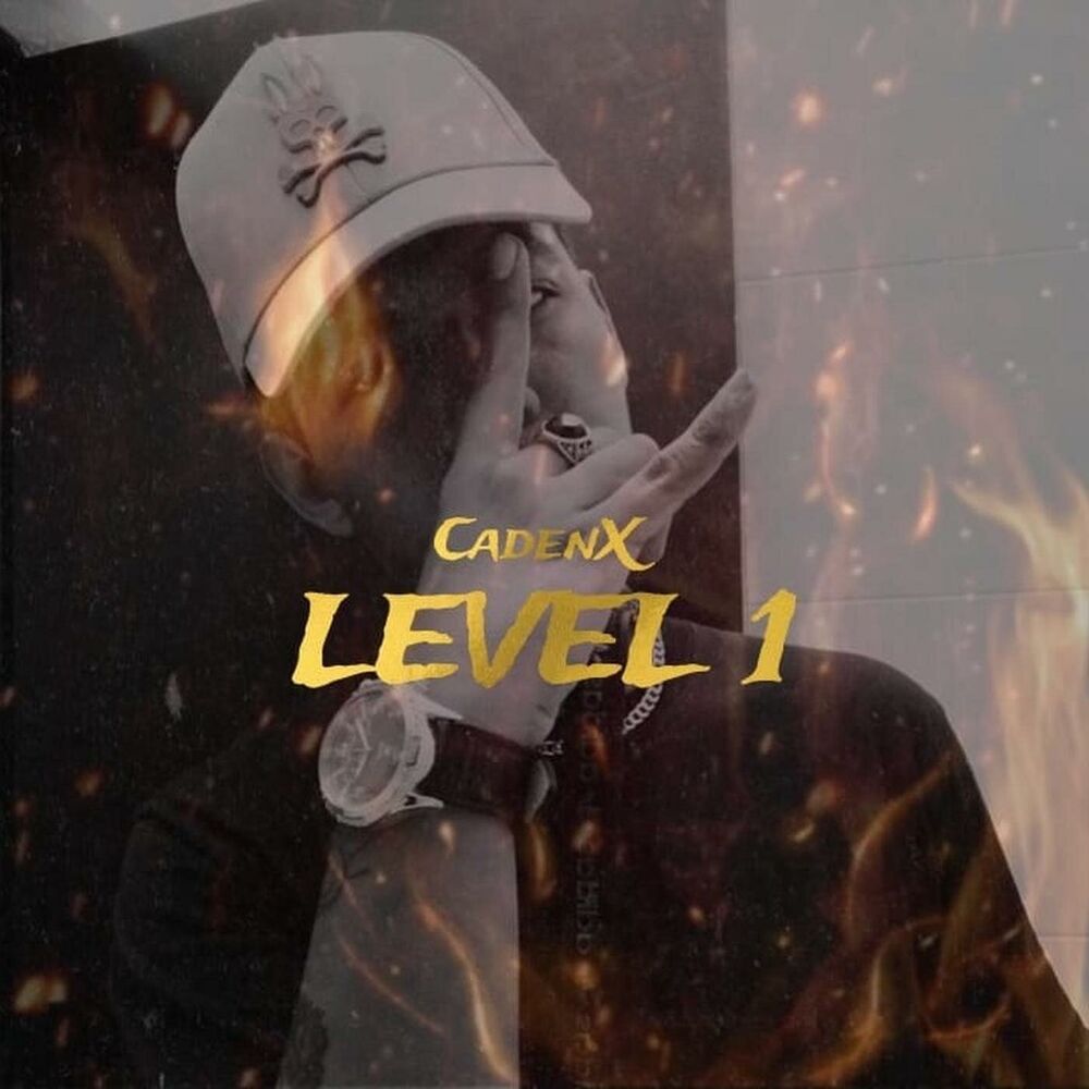 Picture of Level 1