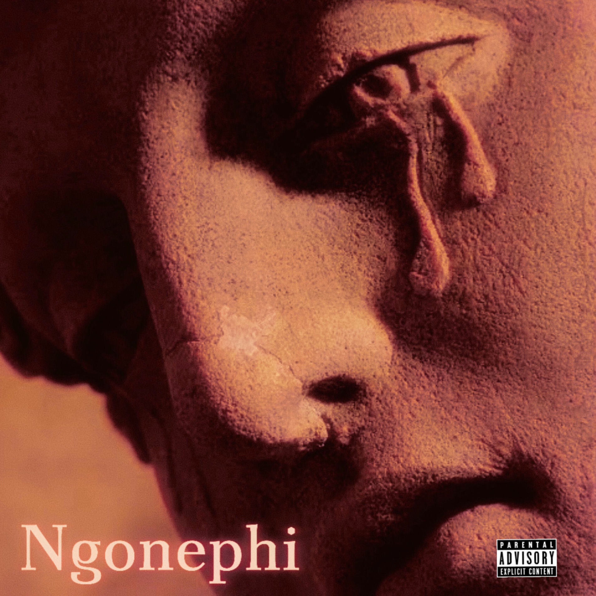 Album cover of Ngonephi