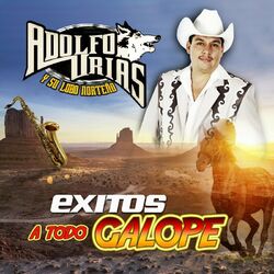 Cover of Exitos A Todo Galope (Norteño)