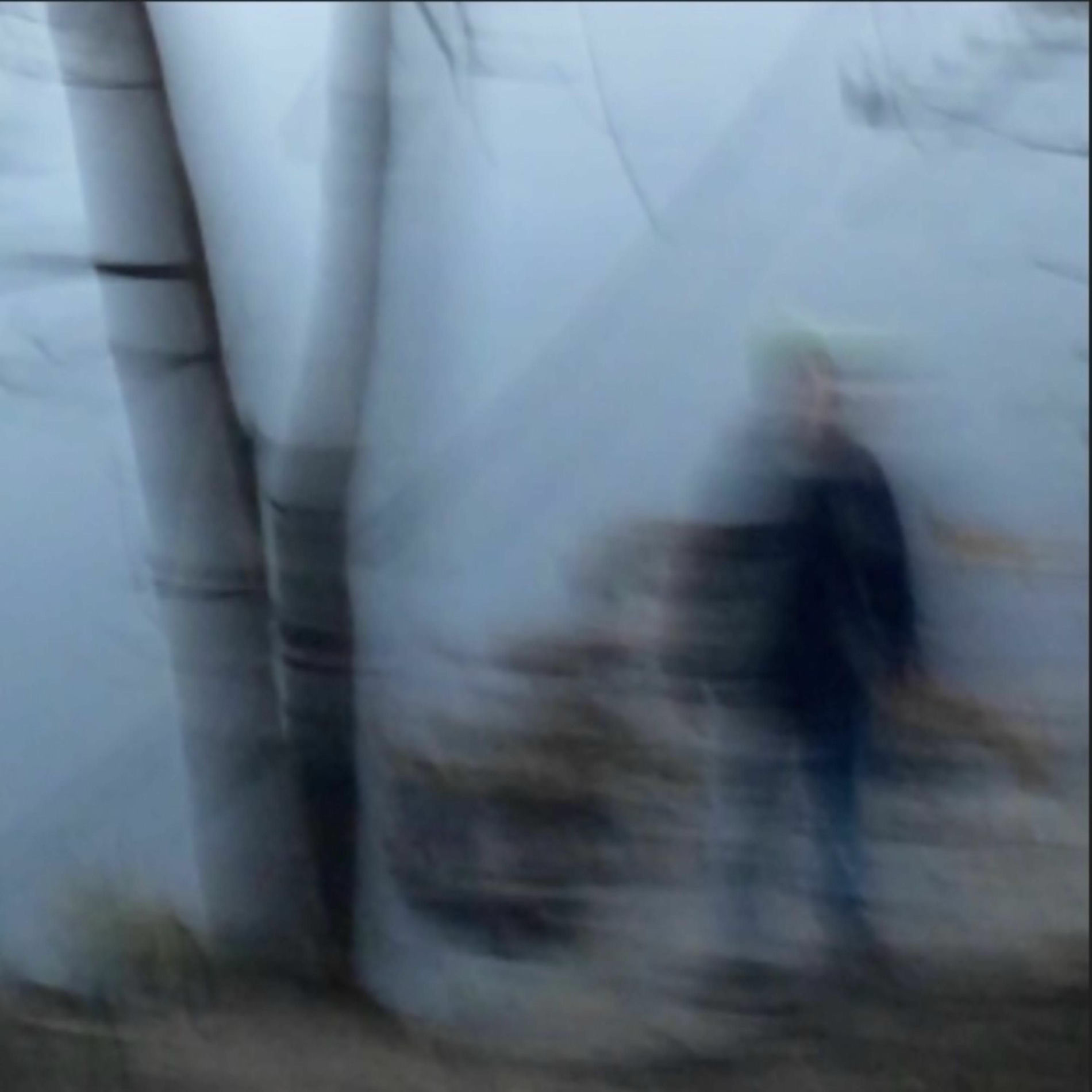 Album cover of Electric Turtle