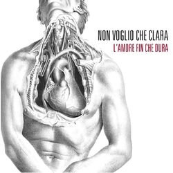 Cover of L'Amore Fin Che Dura
