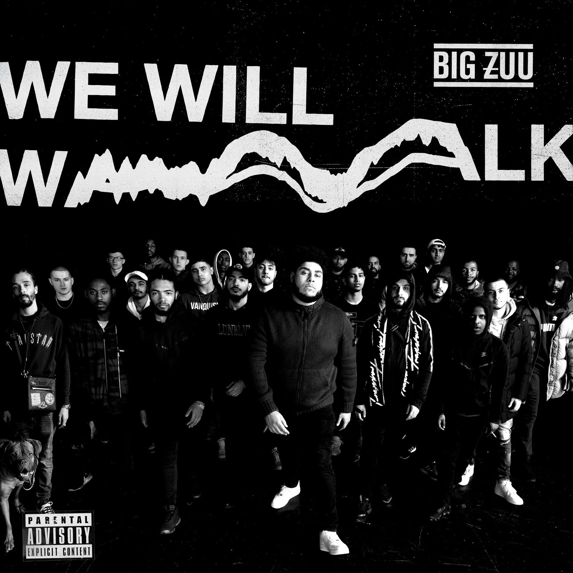Album cover of We Will Walk