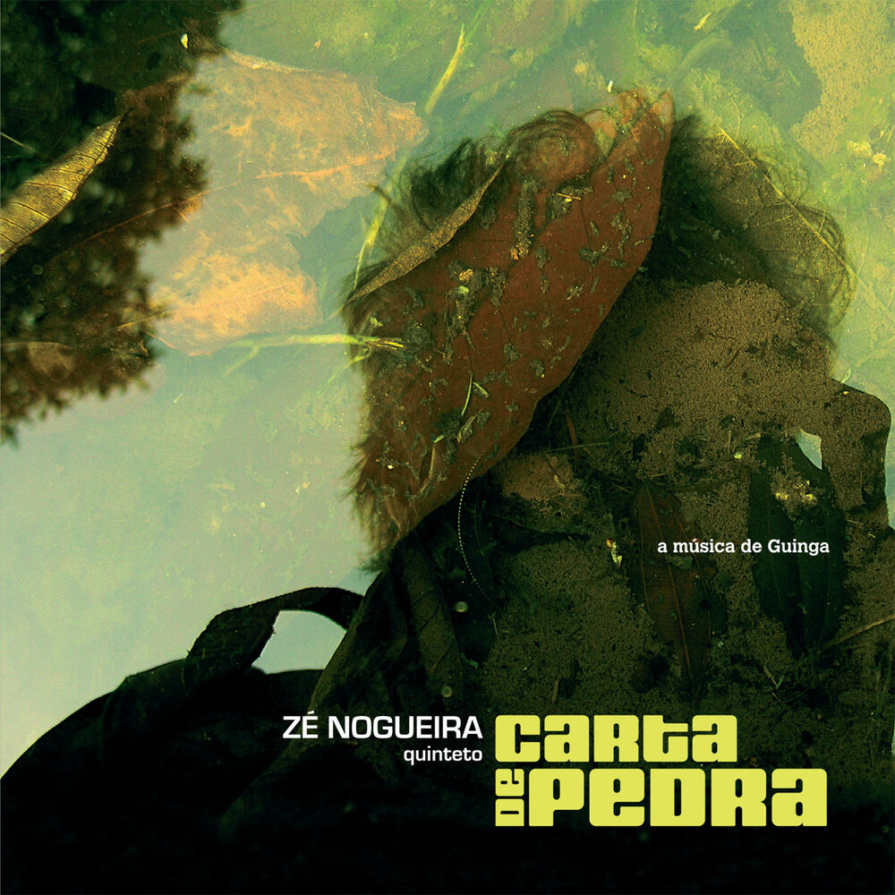 Picture of Carta de Pedra - a Música de Guinga