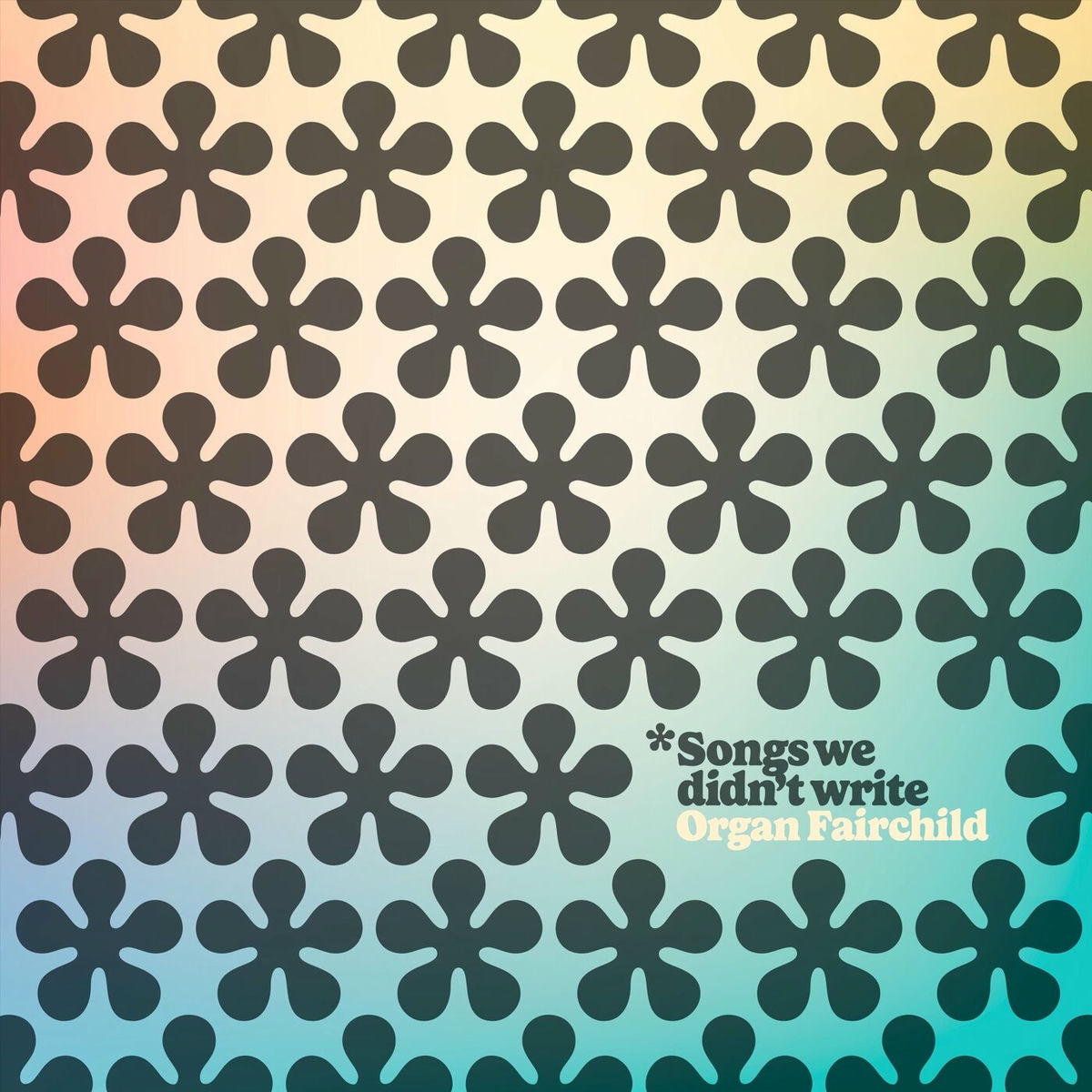 Album cover of Songs We Didn't Write