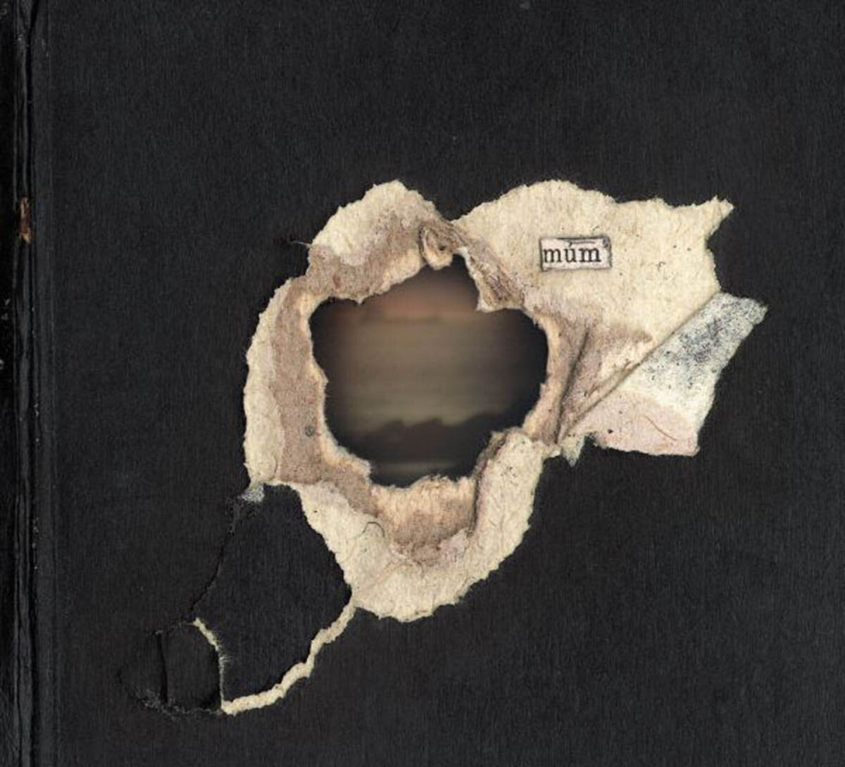 Album cover of Nightly Cares