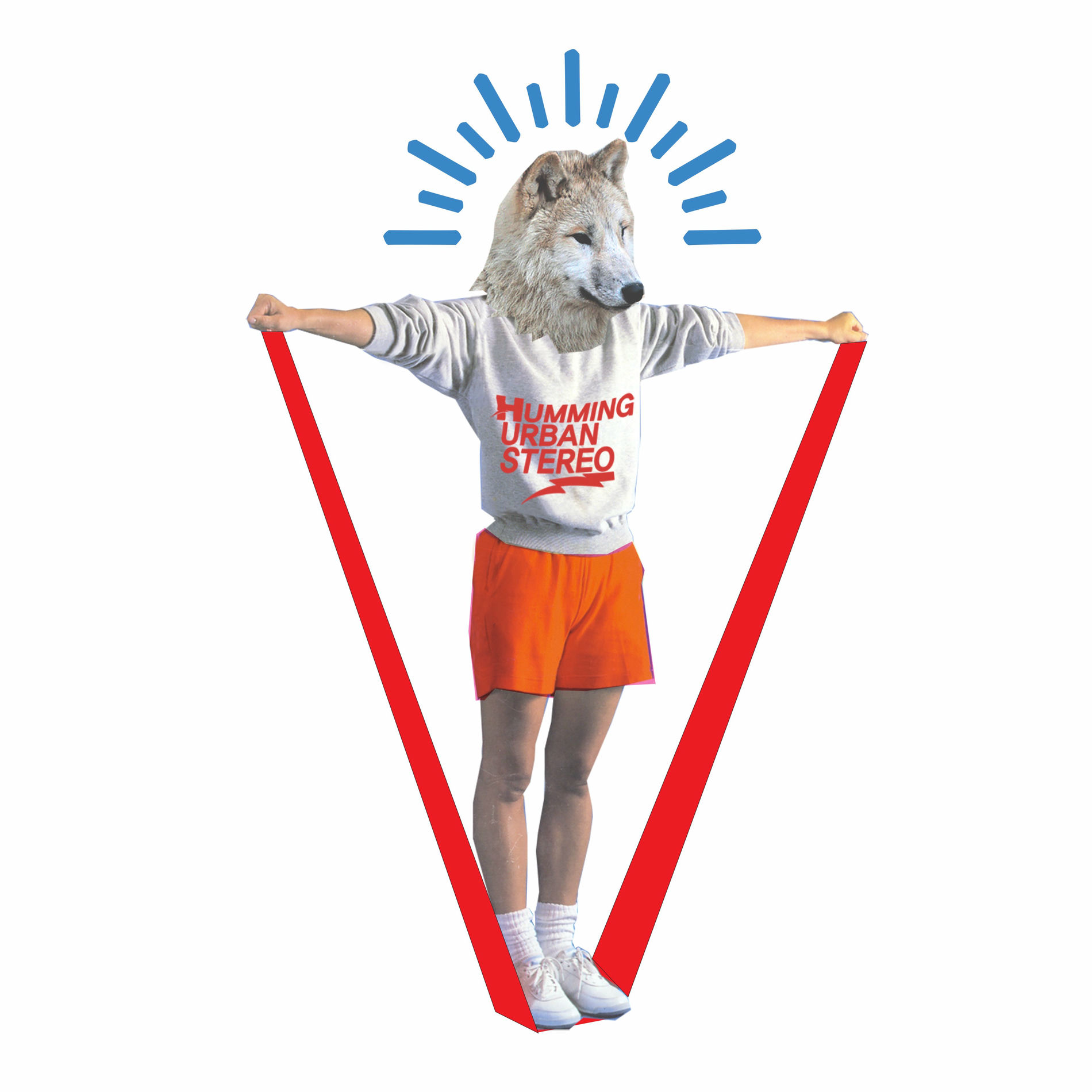 Album cover of V