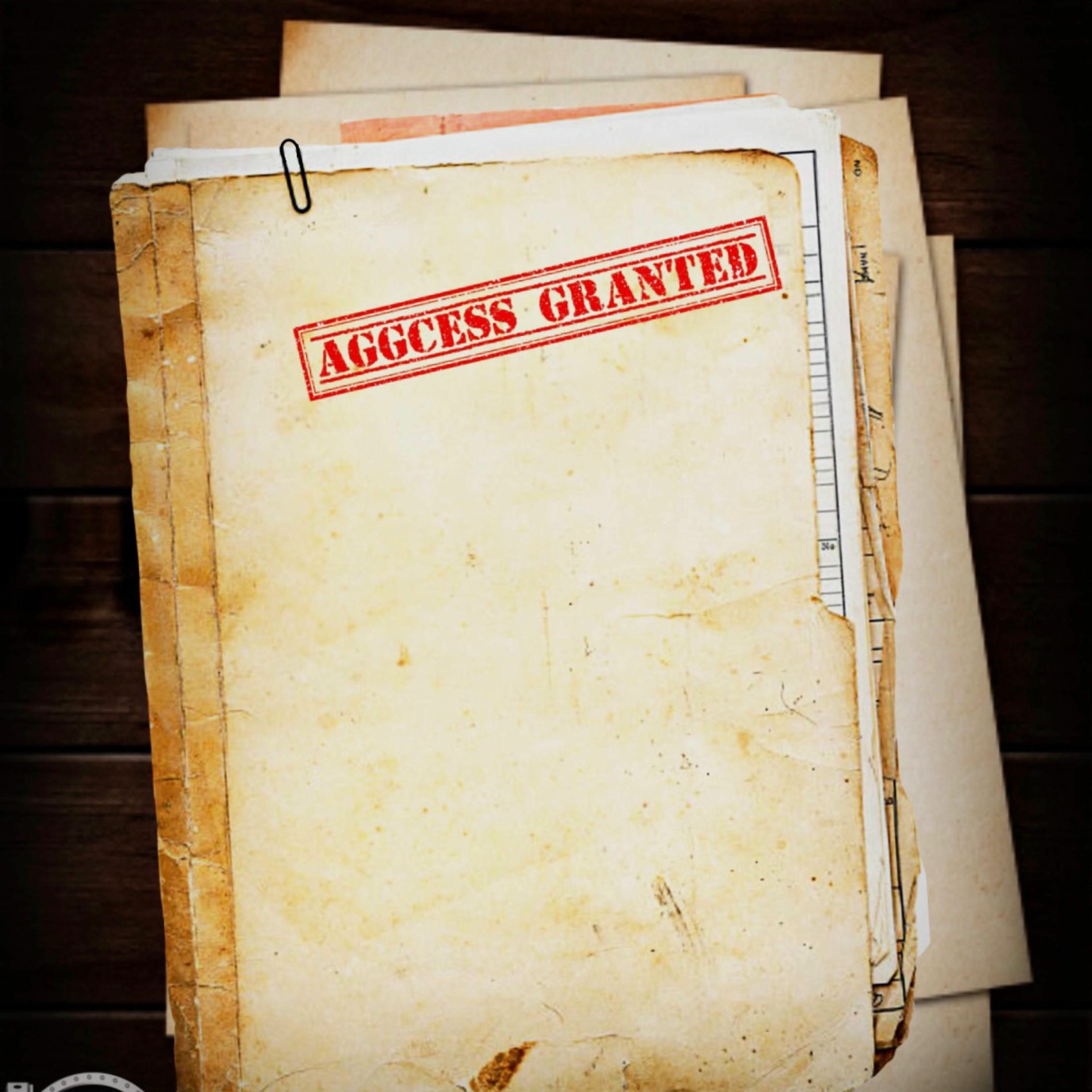 Album cover of Aggcess: A Damn Shame..