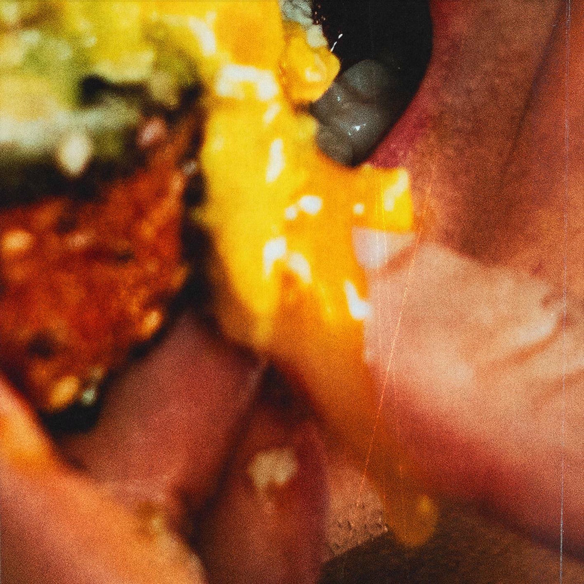 Album cover of AVO TOAST