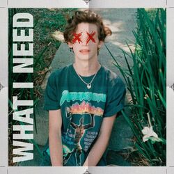 Cover of WHAT I NEED