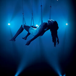 Cover of Rodéo Tour (Live / 2005)