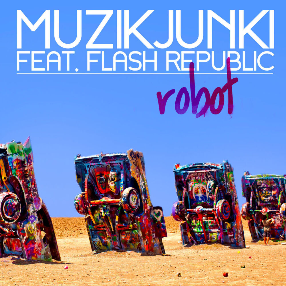 Picture of Robot
