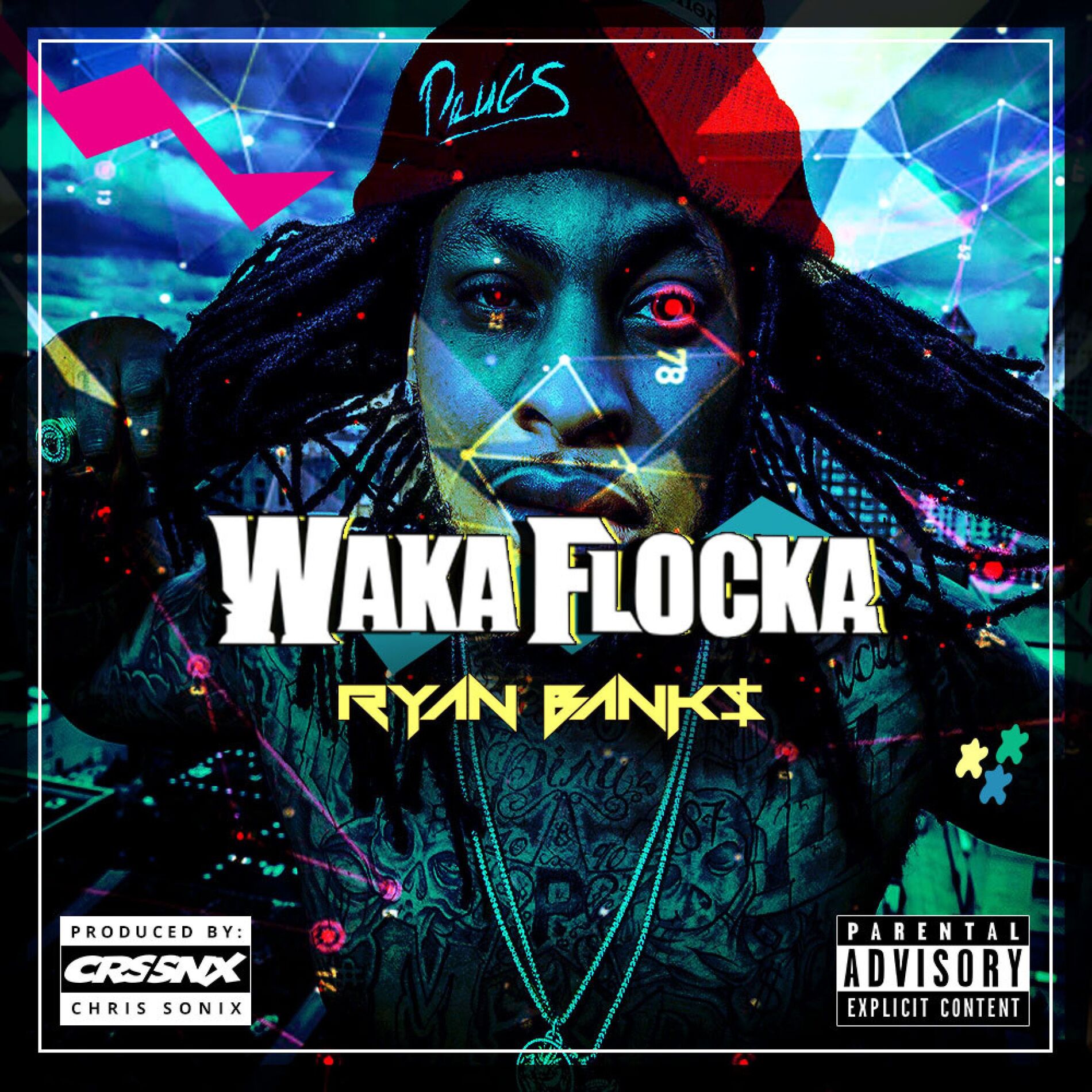 Album cover of Waka Flocka