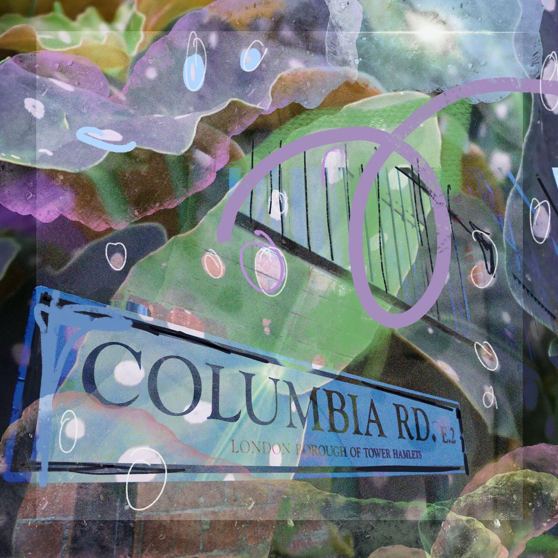 Album cover of Columbia Road